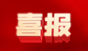 成绩斐然！汉实学子荣获多项市级、区级荣誉